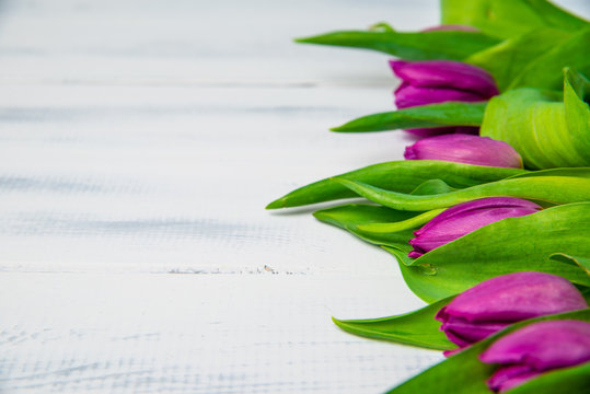 Top view of violet tulips on a wooden table. The concept of handing flowers to a woman, girl. Beautiful tulips and flowers, mother's day, women's day.