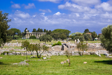 Fototapeta na wymiar Temple of Hera, Paestum