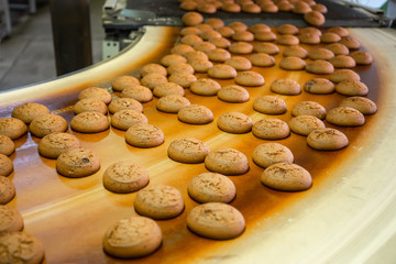 Automatic bakery production line with sweet cookies on conveyor belt equipment machinery in confectionary factory workshop, industrial food production