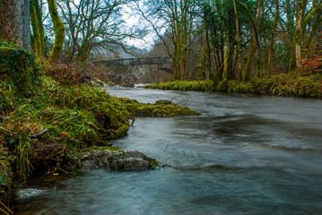 Forest, river and waterfall under a medieval stone arch bridge.