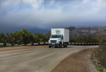 Fototapeta na wymiar truck moves on a mountain road