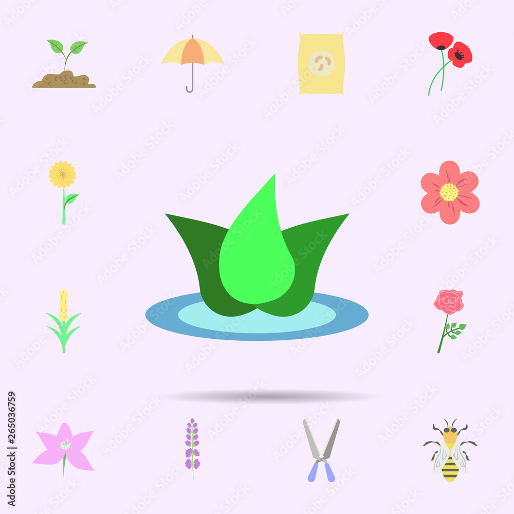 Canvas Prints lotus flower colored icon. universal set of nature for website design and development, app developme