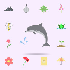 Dolphin colored icon. Universal set of nature for website design and development, app development