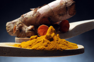 Curcuma longa 614_5565 हल्दी Turmeric Ostryż długi Kurkuma