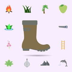Boot colored icon. Universal set of nature for website design and development, app development
