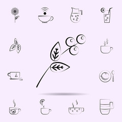 Branch icon. Universal set of tea for website design and development, app development