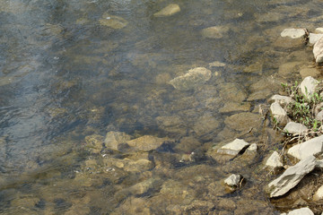 Shallow Creek