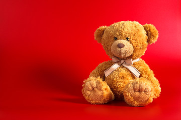 Soft warm cute brown teddy bear on color background. Isolated. Soft red background. Copy space for text.