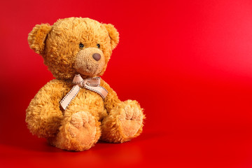 Soft warm cute brown teddy bear on color background. Isolated. Soft red background. Copy space for text.