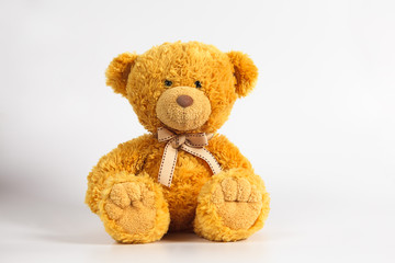 Soft warm cute brown teddy bear on color background. Isolated. Soft white background. Copy space for text.