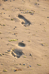 Fototapeta na wymiar Shiny, perfect foots imprint in sand on the beach in summer