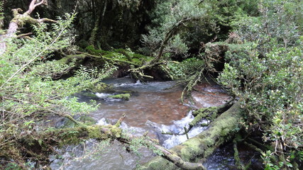 lagos. ríos montañas