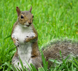 What's up?  Just looking for a snack