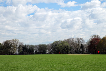 Obraz na płótnie Canvas The view of a park with a lawn and blue sky.