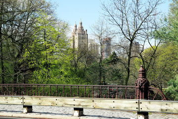 Fototapeta premium The view of a park with buildings. Central Park in Manhattan New York City.