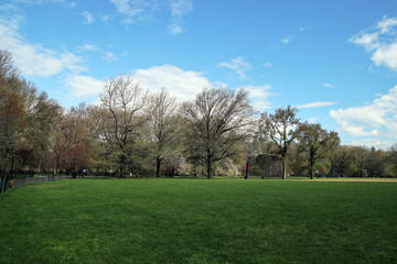 The view of a park with a lawn and blue sky.