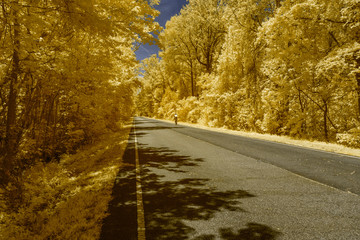 A cyclist bikes down a country road surrounded by trees in this infrared photograph