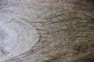 Fototapeta premium Old wooden for background or texture,Gray or black wood.Striped line wood.
