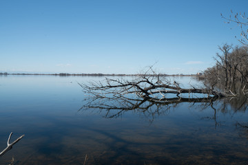 Lake in Colorado