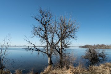 Fototapeta na wymiar Lake in Colorado