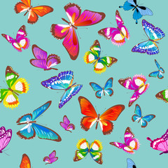 Obraz premium beautiful color butterflies,set, isolated on a white