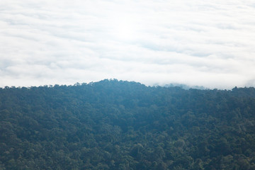 Mountains and white mist.Dense forests