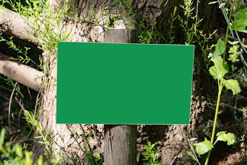 empty billboard in the forest