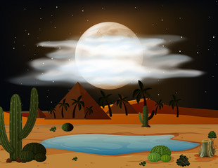 A desert scene at night