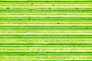 Old Grunge Foldable Metal Door in UFO Green Color Tone Background, That is a 2019 World's Most Popular Color.