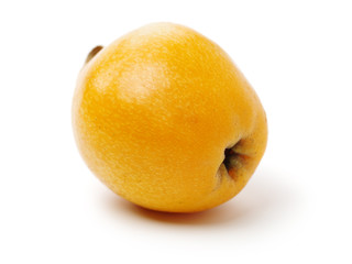 Close up view of some loquat fruit isolated on a white background 
