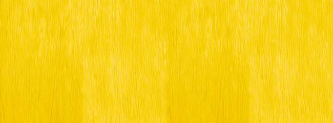 Gold wood background blank for design