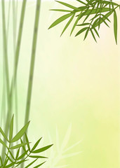 Bamboo leaf background