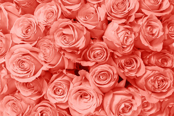 Flower bouquet from red roses.