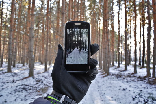 Mans hand in glove and down jacket holding smartphone against the bright sun of light on screen which shows surrounding coniferous snowy winter forest and track. Personal first view. Horizontal frame