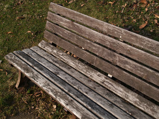 Naklejka premium wooden bench in the park