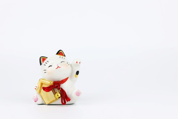 lucky cat on white background