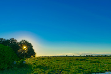 Atardecer de Campo