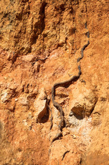 Fundo com terra amarela