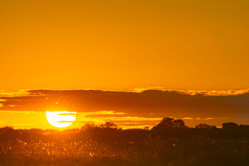 Puesta de Sol de Campo