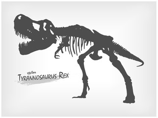 Tyrannosaurus Rex skeleton silhouette on gray gradient background . Vector . © stockdevil