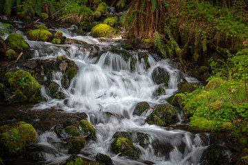 Fototapeta premium Waterfall In Forest