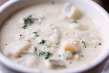 Bowl of New England clam chowder, Wellfleet MA, USA