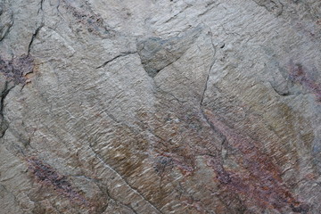 Stone texture background, natural surface, Closeup granite background