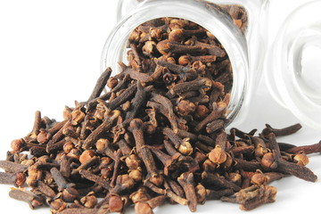 dried spice clove aromatic flower buds in bottle on white background