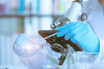 Scientists collected specimens for his experiment.