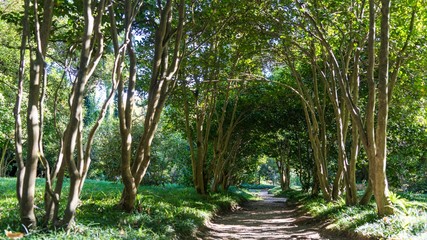 Fototapety na wymiar - Fototapeta24.pl