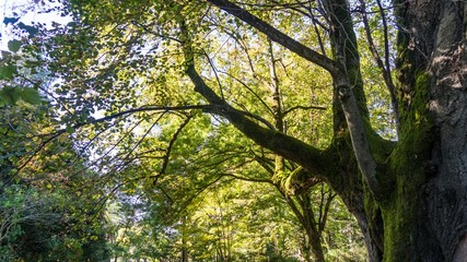 Fototapety na wymiar - Fototapeta24.pl