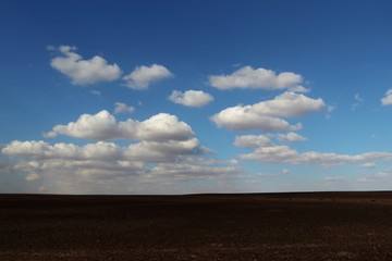 landscape of desert