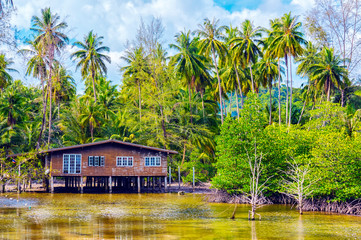 Paradise nature, bungalows surrounded by palm trees on the tropical island in Thailand. Summer travel background