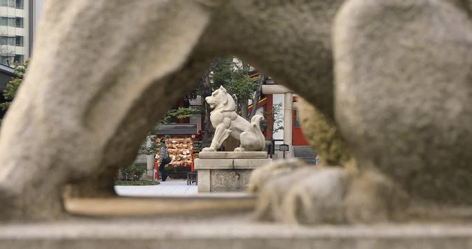 Statue guardian dog at Kanda shrine in Tokyo